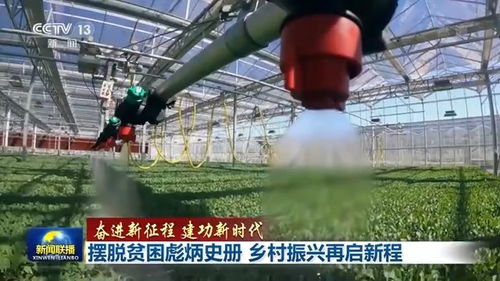 聯播丨擺脫貧困彪炳史冊 鄉(xiāng)村振興再啟新程 農副產品