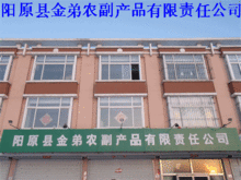 進出口代理助力發(fā)展 陽原縣金弟農副產品有限責任公司的農副產品全球化之路